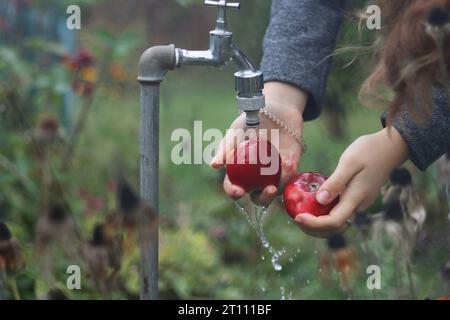 Hände einer jungen Frau, die zwei rote Äpfel unter dem Wasserstrahl wäscht, der aus dem Wasserhahn im Garten fließt. Gartenblumen und Pflanzen im Hintergrund. Stockfoto