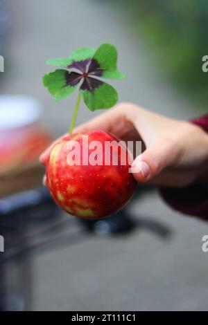 Weibliche Hand mit rotem Apfel und Glücksblatt, vierblättrige Kleeblatt, Eiserne Kreuz. Schöne lange weibliche Finger, Fingernägel. Unscharfer Hintergrund. Stockfoto