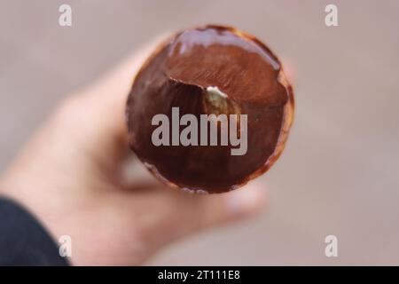 Oben auf dem schmelzenden Schokoladeneis in der Waffelschale in der Hand der Frau oder des Kindes. Das Mädchen läuft und stopft Eisbecher. Draufsicht. Grau b Stockfoto