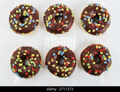 Set aus sechs leckeren Schokoladen-Donuts mit Smarties auf weißem Hintergrund. 6 Donuts dekoriert mit bunten Knabbern oben. Geburtstagsfeier. Hanukkah Celeb Stockfoto