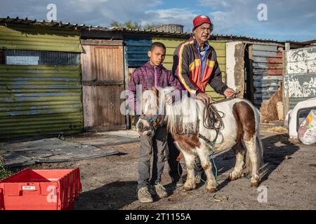 Ein alter Mann und ein Kind der gemischten Rasse stecken ein Gurtzeug an ein Miniatur-Pony vor einer provisorischen bunten Hütte in einer armen Gemeinde Stockfoto