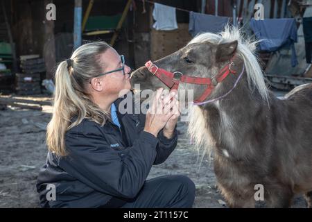 Eine Tierschutzinspektorin teilt einen herzerwärmenden Moment der Verbindung mit einem Miniatur-Pony Stockfoto