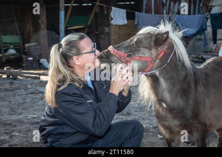 Eine Tierschutzinspektorin teilt einen herzerwärmenden Moment der Verbindung mit einem Miniatur-Pony Stockfoto