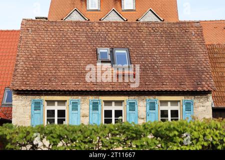 Fassade des alten gelben Fachwerkhauses mit gelber Steinmauer, rotem Ziegeldach und blauen Fensterläden. Grüne Büsche vor dem Haus. Sommertag Stockfoto