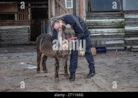Eine Tierschutzinspektorin teilt einen herzerwärmenden Moment der Verbindung mit einem Miniatur-Pony und strahlt Sorgfalt und Mitgefühl aus Stockfoto