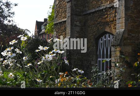 Schulhaus, Ei, cambridgeshire Stockfoto