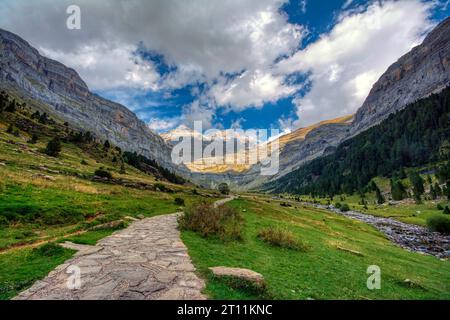 Cola de Caballo durch die Soaso-Stände. Die beliebteste Route im Ordesa-Tal, von der Pradera de Ordesa bis zum Wasserfall Cola de Caballo. Stockfoto