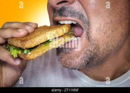 Unwiderstehliches Verlangen nach Junk Food. Nahaufnahme eines hungrigen Mannes, der in einen Käsetoast beißt. Stockfoto