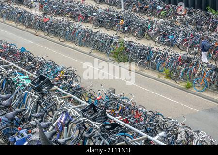 Niederlande. Riesige Anzahl von Fahrrädern auf dem großen Fahrradparkplatz in der Nähe des Amsterdamer Hauptbahnhofs Stockfoto