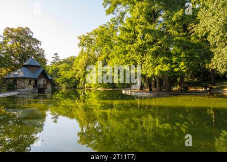 Malerischer Blick auf einen ruhigen grünen See mit einem kleinen Holzgebäude und dichten Bäumen, die sich an einem sonnigen Tag im ruhigen Wasser spiegeln Stockfoto