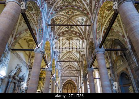 Inneres der Basilika di Sant'Anastasia in Verona, Italien, Europa Stockfoto