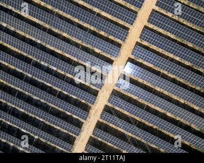 Sonnenkollektoren auf einem Photovoltaik-Kraftwerk Stockfoto