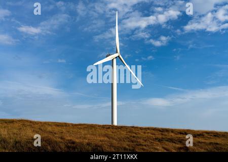 Scout Moor Windpark elektrische Energie erzeugende Turbinen Stockfoto