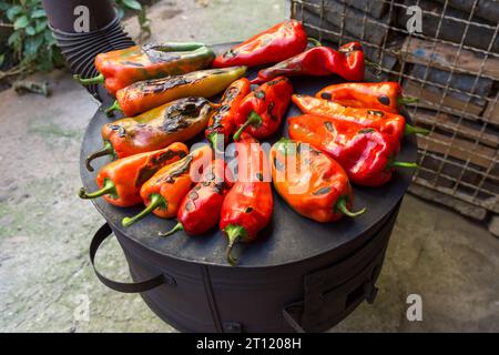 Paprika auf dem Holzofen angeordnet, die ihre geröstete Farbe von oben zeigen. Das Rösten von Paprika an einem Herbsttag auf dem Hof Stockfoto