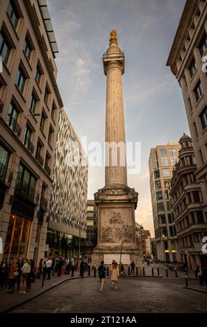 London, Großbritannien: Das Monument to the Great Fire of London oder einfach das Monument ist eine dorische Säule in der City of London. Abendblick. Stockfoto