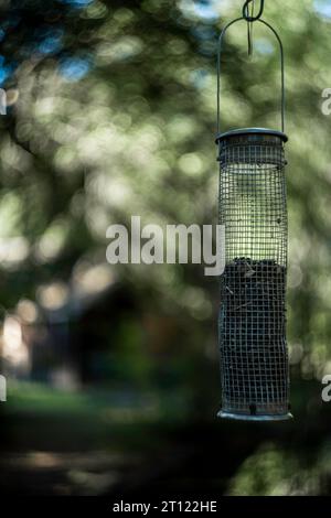 Vogelfutter isoliert Stockfoto