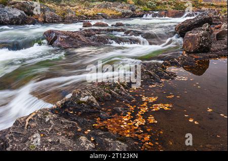 Der rasante Fluss fließt über Felsen durch die herbstliche norwegische Landschaft. Stockfoto