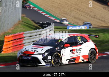 Ricky Collard - Toyota Gazoo Racing UK - fuhr Toyota Corolla GR Sport Nummer 37 im BTCC 2023 in Brands Hatch im Oktober 2023 Stockfoto