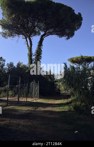 Die Pipeline ist in einem Zaun in einem Park am italienischen Meer bei Sonnenuntergang eingeschlossen Stockfoto