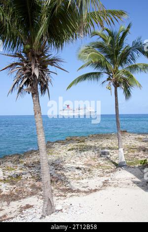 Der Vormittagsblick auf die Palmen der Grand Cayman Island Seven Mile Beach und ein treibendes Kreuzfahrtschiff im Hintergrund (Cayman Islands). Stockfoto