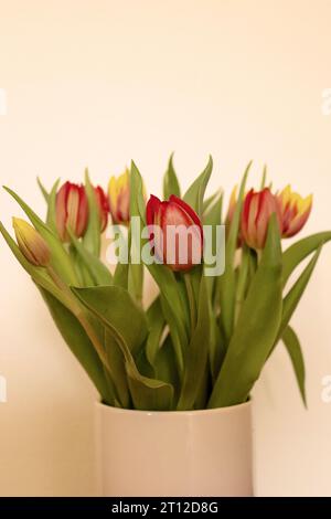 Tulpen Blumenstrauß rot gelb grün Frühlling Dekoration Innenfokus Blume Stockfoto