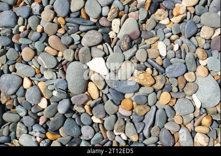 Hintergrund trockener verschiedener Kieselsteine. Draufsicht. Stockfoto