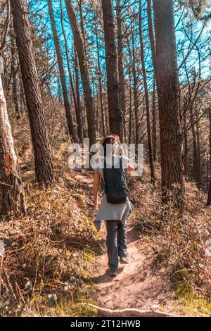 Eine junge Frau, die durch die riesigen Kiefern des Mount Adarra in Guipuzcoa läuft. Baskenland Stockfoto