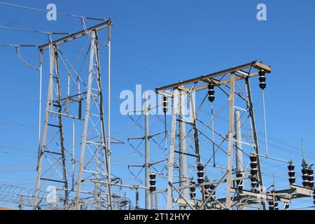 Dinge nach Sommers Rekordhitze. Stockfoto