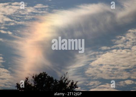 Dinge nach Sommers Rekordhitze. Stockfoto