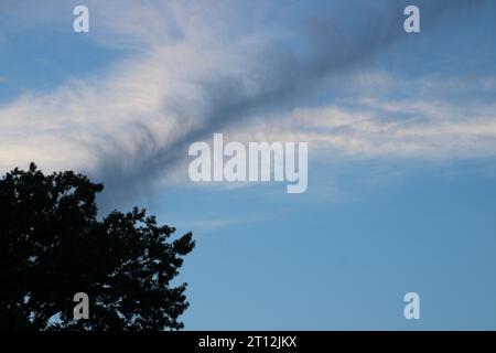 Dinge nach Sommers Rekordhitze. Stockfoto