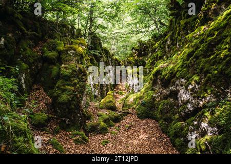 Der Berg Aizkorri ist 1523 Meter hoch, der höchste in Guipuzcoa. Baskenland. Steigen Sie durch San Adrian und kehren Sie durch die Oltza-Felder zurück. Magische Orte in Stockfoto