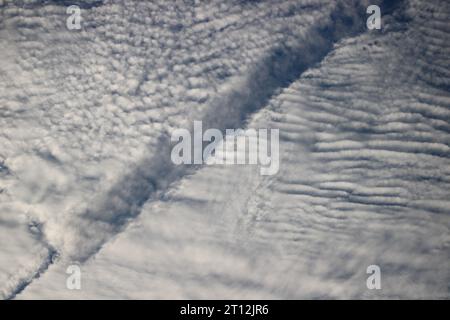 Dinge nach Sommers Rekordhitze. Stockfoto