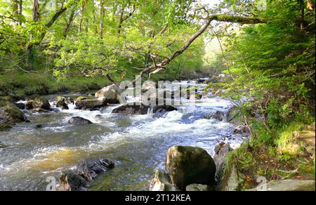 Landschaftsbilder entlang des Afon River Llugwy in der Nähe von Betws-Y-Coed im Snowdonia National Park in Wales, Großbritannien Stockfoto