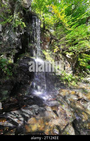 Landschaftsbilder entlang des Afon River Llugwy in der Nähe von Betws-Y-Coed im Snowdonia National Park in Wales, Großbritannien Stockfoto