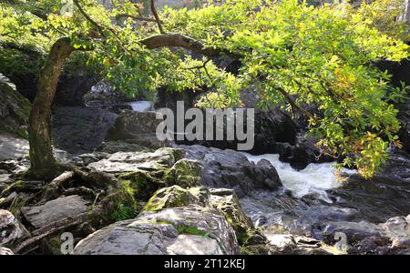 Landschaftsbilder entlang des Afon River Llugwy in der Nähe von Betws-Y-Coed im Snowdonia National Park in Wales, Großbritannien Stockfoto