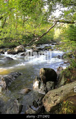 Landschaftsbilder entlang des Afon River Llugwy in der Nähe von Betws-Y-Coed im Snowdonia National Park in Wales, Großbritannien Stockfoto