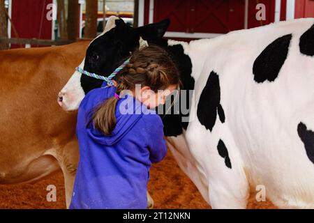 Deerfield Fair, New Hampshire 2023 - Eine junge Trainerin, die ihr Kalb während einer Show an der Spitze hält. Stockfoto