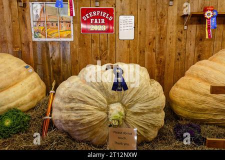 Deerfield Fair, New Hampshire 2023 – riesiger Gewinner von 1 kg und mehr Kürbis nach einem Wettbewerb in einer Holzscheune. Stockfoto