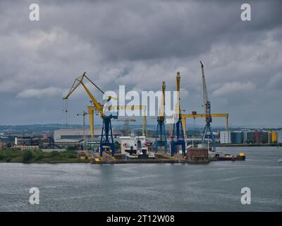 Kräne umgeben ein Schiff im Trockendock im Hafen von Belfast in Nordirland, Großbritannien. Die Samson- und Goliath-Krane der Harland and Wolff Werft App Stockfoto