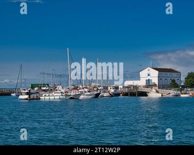 Freizeitboote an der Carrickfergus Marina in County Antrim, Nordirland, Großbritannien, am Nordufer von Belfast Lough. An einem sonnigen Tag im Sommer. Stockfoto