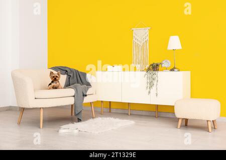 Süßer kleiner Yorkshire Terrier Hund, der auf dem Sofa im Wohnzimmer sitzt Stockfoto