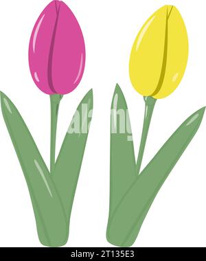 Set mit 2 blühenden Tulpenblüten für Blumensträuße in modischen, leuchtend rosa und gelben Farben. Isolieren. Vektor. EPS. Design für Gruß- oder Einladungskarten, Preisschilder, Etiketten oder Web, Poster, Banner Stock Vektor