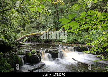 Lynn Falls, Dalry Stockfoto