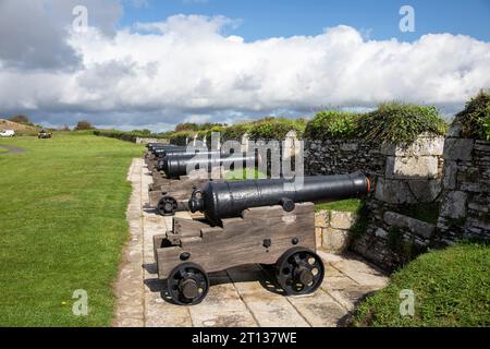 Pendennis Castle Falmouth Cornwall Kanonenkanonen Fässer auf der Umrandungswand, England, Großbritannien Stockfoto