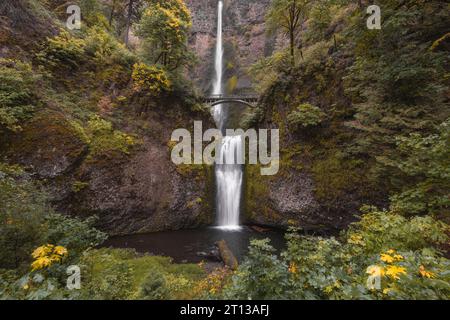 Beginn der Herbstsaison am Multnomah Falls Wasserfall, Columbia River Gorge, Oregon Stockfoto