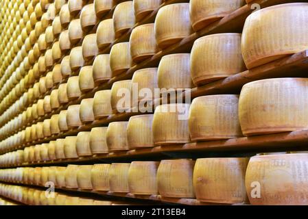 Parmesankäse in Holzregalen in 4 Madonne Caseificio dell'Emilia, einem DOP-Produzenten von Parmigiano Reggiano. Lesignana, Modena, Italien, Dezember 2017 Stockfoto