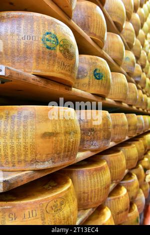 Parmesankäse in Holzregalen in 4 Madonne Caseificio dell'Emilia, einem DOP-Produzenten von Parmigiano Reggiano. Lesignana, Modena, Italien, Dezember 2017 Stockfoto