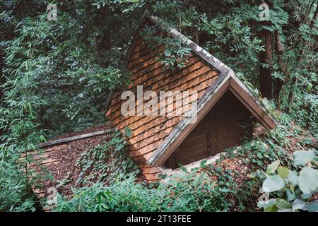 Gruseliges Haus im Wald Stockfoto