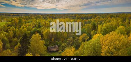 Altes Ruinenhaus umgeben von Herbstwald Stockfoto