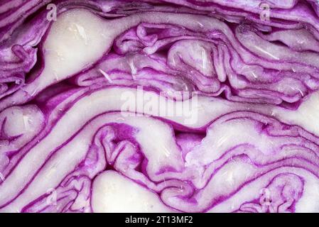 Querschnitt eines Purpurkohls. Stockfoto